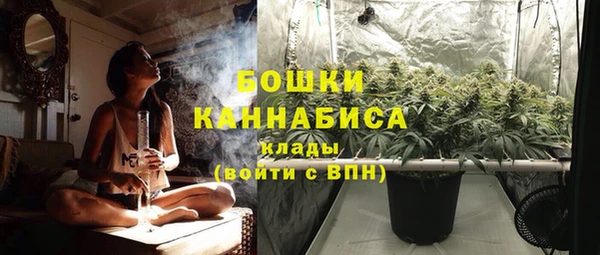 каннабис Дмитриев