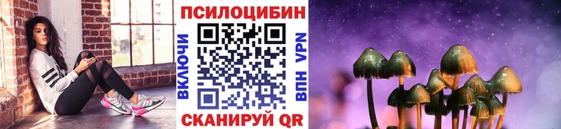 Купить  Юрьевец  Псилоцибиновые грибы Psilocybe 
